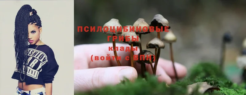 купить закладку  Дальнереченск  МЕГА   Галлюциногенные грибы MAGIC MUSHROOMS 